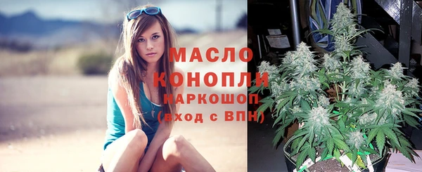 дмт Абинск