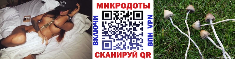 Галлюциногенные грибы мухоморы  магазин  наркотиков  Рыльск 